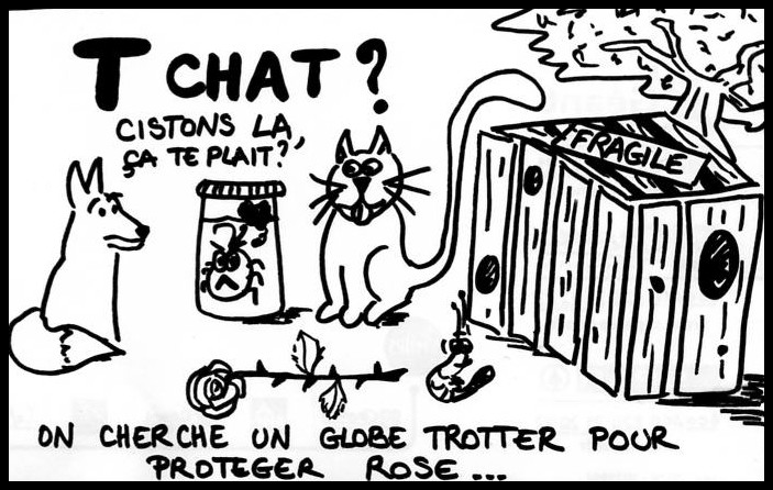 Tchat ou tCHUT ?