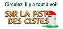 logo cistes